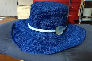 chapeau bleu Copier